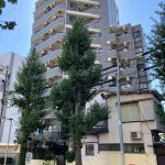 サンテミリオン笹塚【価格変更】